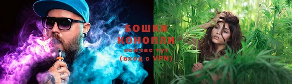 МДПВ Бородино