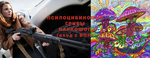 МДПВ Бородино