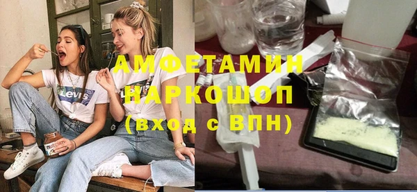 МДПВ Бородино