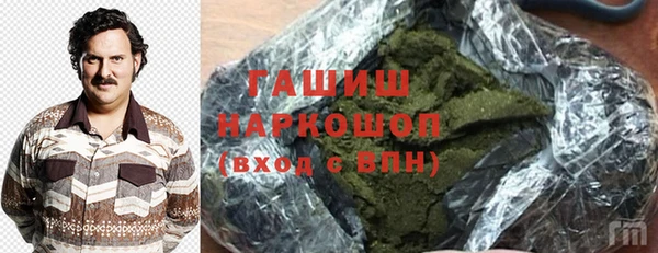 МДПВ Бородино
