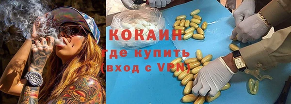 МДПВ Бородино