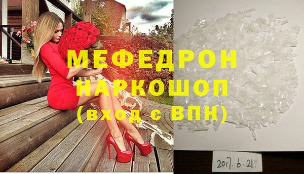 МДПВ Бородино