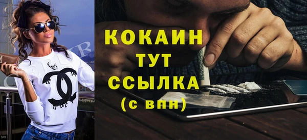 МДПВ Бородино