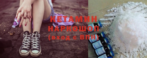 МДПВ Бородино